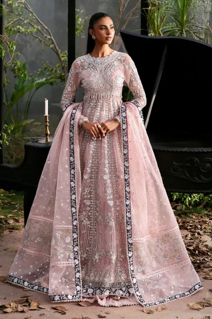 La Fuchsia '25 By Afrozeh - Unstitched | 1036 - Zeal